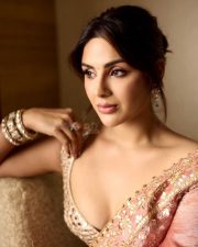 Elegant Actress Samyuktha Menon in a pink embroidered traditional saree photos 01