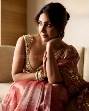 Elegant Actress Samyuktha Menon in a pink embroidered traditional saree photos 03