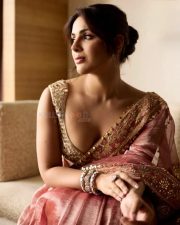 Elegant Actress Samyuktha Menon in a pink embroidered traditional saree photos 05