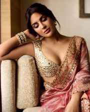 Elegant Actress Samyuktha Menon in a pink embroidered traditional saree photos 06