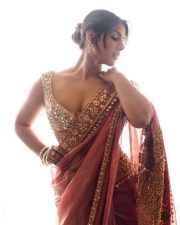 Elegant Actress Samyuktha Menon in a pink embroidered traditional saree photos 07