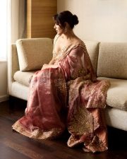 Elegant Actress Samyuktha Menon in a pink embroidered traditional saree photos 08