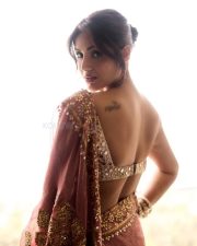 Elegant Actress Samyuktha Menon in a pink embroidered traditional saree photos 09