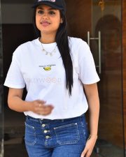 Heroine Faria Abdullah at Gurram Paapi Reddy Movie Success Meet Pictures 09