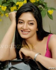 Hot Vimala Raman Stills In Chattam Movie 16