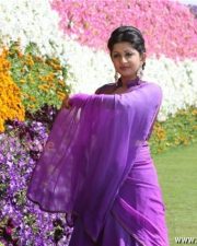 Ladies And Gentleman Meera Jasmine Pictures 06