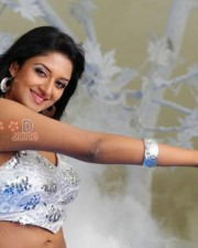 Malayalam Actress Vimala Raman Sexy Photos 02