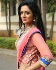 Mallu Actress Vimala Raman New Photos 09
