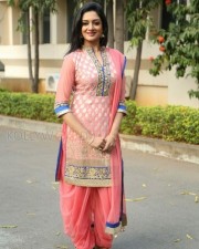Mallu Actress Vimala Raman New Photos 13