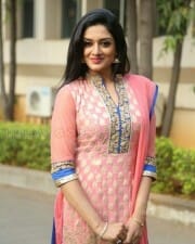 Mallu Actress Vimala Raman New Photos 14