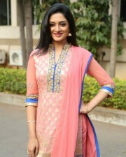 Mallu Actress Vimala Raman New Photos 19
