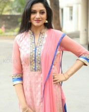 Mallu Actress Vimala Raman New Photos 20