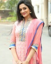 Mallu Actress Vimala Raman New Photos 24