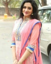 Mallu Actress Vimala Raman New Photos 25
