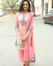 Mallu Actress Vimala Raman New Photos 28