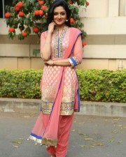 Mallu Actress Vimala Raman New Photos 29