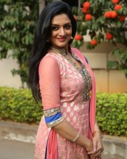 Mallu Actress Vimala Raman New Photos 31