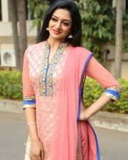 Mallu Actress Vimala Raman New Photos 37