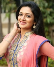 Mallu Actress Vimala Raman New Photos 39