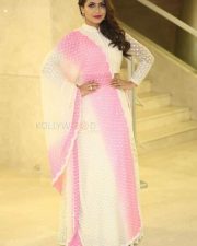 Nandini Rai At Silly Fellows Pre release Event Photos 10