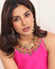 Nari Nari Naduma Murari Actress Samyuktha in a Pink Sleeveless Silk Top with a Wide Leg Trousers Photos 02