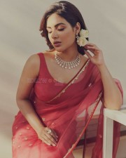 Samyuktha Menon Sexy in Red Saree Photos 06