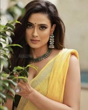 Seductress Shweta Tiwari in a Yellow Saree Photos 03
