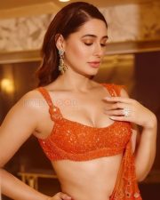 Sexy Nargis Fakhri in a Tangerine Orange Netted Drape Saree Photos 02
