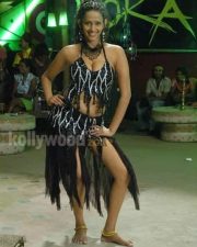 Sizzling Sanjana Singh In Marupadiyum Oru Kadhal Movie Stills 60 Sizzling Sanjana Singh In Marupadiyum Oru Kadhal Movie Stills 60
