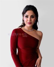 Sophisticated Actress Samyuktha Menon in a Burgundy One Shoulder Long Sleeve Dress Photos 01 Sophisticated Actress Samyuktha Menon in a Burgundy One Shoulder Long Sleeve Dress Photos 01