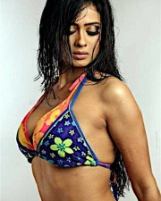 Stunning Beauty Shweta Tiwari Sexy Pictures 12