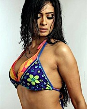 Stunning Beauty Shweta Tiwari Sexy Pictures 12 Stunning Beauty Shweta Tiwari Sexy Pictures 12
