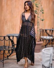 Swayambhu Heroine Samyuktha Menon in a Black Tamma Brocade Silk Pleated Dress Pictures 07