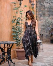 Swayambhu Heroine Samyuktha Menon in a Black Tamma Brocade Silk Pleated Dress Pictures 08