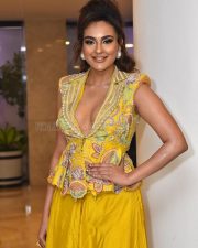 Telugu Actress Seerat Kapoor At Usha Parinayam Pre Release Event Pictures 50