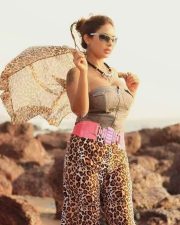 Telugu Film Actress Sri Reddy Pictures 41