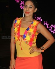 Telugu Item Dancer Sri Reddy Photos 02