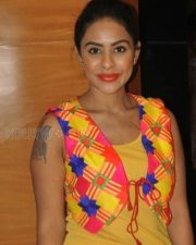 Telugu Item Dancer Sri Reddy Photos 16