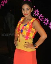 Telugu Item Dancer Sri Reddy Photos 17