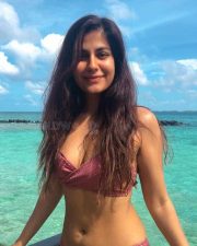 Tempting Shreya Dhanwanthary in a Blush Pink Bikini Photos 04