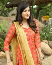 Young Telugu Actress Simran Sharma Photos 25
