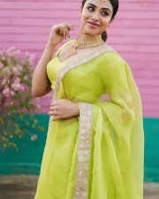 actress indhuja green saree photos 01