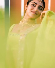 actress indhuja green saree photos 06