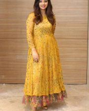 Actress Isha Chawla Latest Photoshoot Photos 08