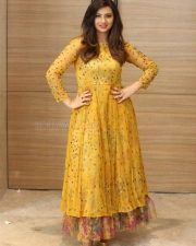 Actress Isha Chawla Latest Photoshoot Photos 14