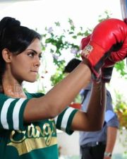 Actress Karthika Brother Of Bommali Movie Photos 08