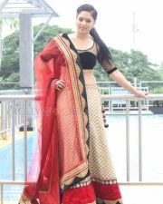 Actress Nikesha Patel At Karaioram Press Meet Pictures 08