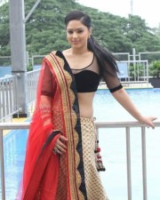 Actress Nikesha Patel At Karaioram Press Meet Pictures 09
