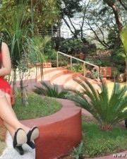 Actress Nikesha Patel Hot Mini Skirt Photos 01