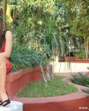Actress Nikesha Patel Hot Mini Skirt Photos 18
